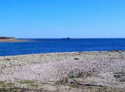 В селе Нижняя Добринка власти хотят сделать лучший пляж на Волге в Камышинском районе