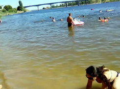 Администрация Камышина откроет городские пляжи 10 июня, до этого времени она рекомендует горожанам не купаться где попало и терпеть