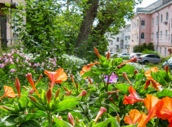 30-градусная жара возвращается: погодная повестка для камышан на 28 июля