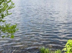 Водолазы подняли со дна Волги на южной окраине города тело утонувшего камышанина