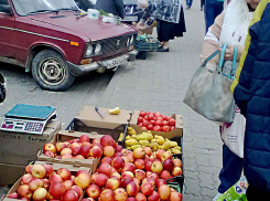 Солнце, один градус мороза и сильный юго-восточный ветер: так в Камышине начнется неделя битвы погодных фронтов 