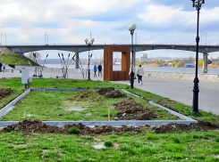 Зачем в Камышине перекроют Бородинский мост