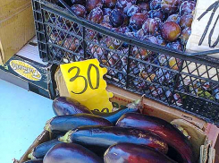 В Камышине самыми дешевыми овощами на рынках стали баклажаны