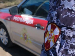 В Камышине росгвардейцы задержали насильника прямо на улице