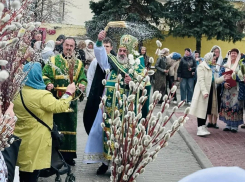 В Камышине в Никольском соборе сегодня, в Вербное воскресенье, проходит освящение пушистых букетиков