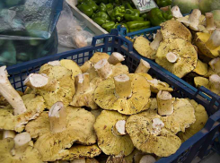Несмотря на тяжелые случаи отравления камышан грибами, камышинские рынки  завалены маслятами и рядовками