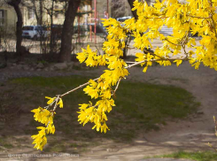 В Камышин приходит солнечный, почти летний вторник