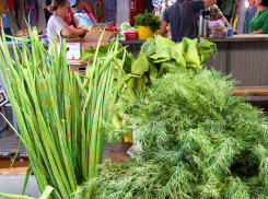 Не могу понять, почему пучочек обычной зелени на рынке такой «золотой»? - камышанка