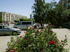 После «нулевых» выходных в Камышине 8 заболевших ковидом