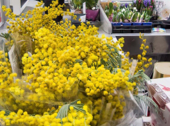 В Камышине в сетевиках «распустилась» весна: здесь начали торговать мимозой, ирисами и гиацинтами, пока цены кусаются