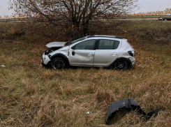 Водитель иномарки из Камышина улетел в кювет, но легко отделался