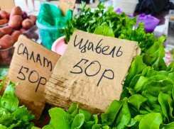 Борщевой и суповой набор подорожал в Волгоградской области к концу июня 