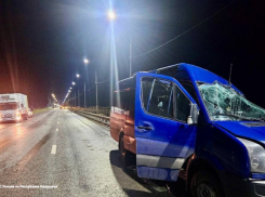 Волгоградский автобус разбился в жестком лобовом ДТП в Калмыкии: семеро погибших, - «Блокнот Волгограда» (ВИДЕО)