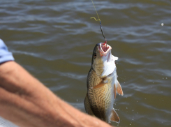 За зверское убийство колуном и ножом на рыбалке фигурант криминальной истории отправился под суд