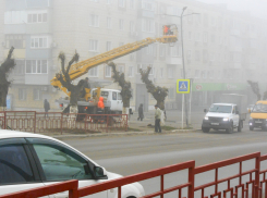 Камышин туман поглотил «жадно» - дело дошло до штормового предупреждения 28 ноября