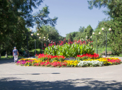 Туалетная тема сильно «подмочила» имидж муниципального парка в Камышине