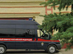 Во Фролово разозлившийся из-за «ничего» зять заколол тещу