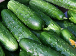 Камышане за Новый год съели все свежие огурцы из магазинов города