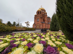 Андрей Бочаров поздравил митрополита Волгоградского и Камышинского Феодора с праздником