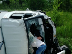 Полиция ищет свидетелей страшной аварии на дороге между Камышином и Петровым Валом, унесшей две человеческих жизни