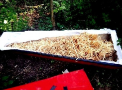 На мусорную площадку выбросили гроб