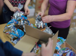 Уполномоченный МФЦ собирает подарки для детей, находящихся в доме- интернате Камышина и других городов 