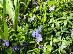 В Камышине погода взяла курс на похолодание: почти до нуля!