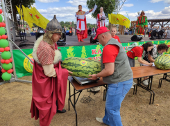 Арбуз-победитель сегодняшнего праздника в Камышине, выращенный дамой, потянул почти на 45 кило!