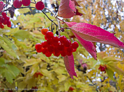 Синоптики пообещали камышанам потепление с середины новой недели
