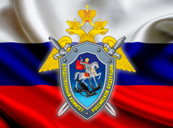 СК имеет квоты в профильных вузах для абитуриентов, оставшихся без родительского попечения