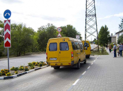 Администрация Камышина озвучила, сколько патрули поймали нарушителей  без масок за неделю