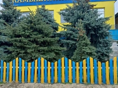 В Камышине в соцсетях обсудили «подозрительно» сине-желтый забор у пивзавода
