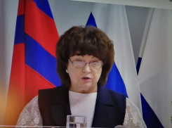 Камышинская гордума провела «селекцию» журналистов и «вручила пропуск» на заседания одному - специалисту по «говорящим головам» чиновников