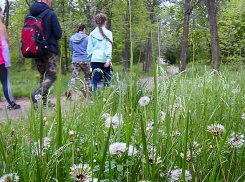 В Камышине образовался «скачок» в числе зараженных вирусом: за предыдущие сутки 5 новых больных, за минувшие - 8