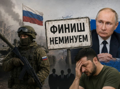 «Финиш неминуем»: в Госдуме призвали украинцев «вышвырнуть шайку Зеленского» и принять условия России