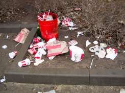 Тема мусорной вакханалии у открывшейся на улице Ленина точки KFC дошла до планерки чиновников администрации Камышина