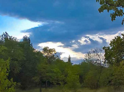 Стало известно, чью еще жизнь «сожрал» молниеносный коронавирус в Волгоградской области