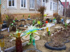 «Кто навязывает городу такую безвкусицу?» - камышанка