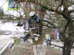 Какое бескультурье - так унижать Камышин! - камышанин