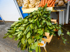 Почему камышанки раскритиковали большие букеты лаврушки на рынках