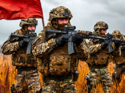 Новости СВО на утро 14 февраля: тихий бунт в украинской армии