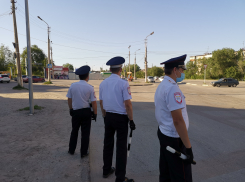 В Камышине с начала года уже 8 человек погибли под колесами автомобилей - полиция выходит в новые рейды