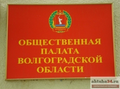 В новом составе Общественной палаты Волгоградской области оказалось сразу двое камышан - Ирина Бурова и Лев Алферов