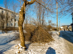 В Камышине расчистили захламленную площадку на втором участке