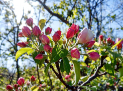 Немного дождя, немного солнца, немного бури: погода на Первомай в Камышине (ВИДЕО)