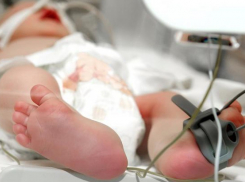 Обвинение определилось с позицией в отношении студента из Камышина, убившего ребенка своей любовницы