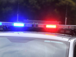 В темноте иномарка «размазала» пенсионера по дороге