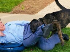 «Хотя бы когда я умру и буду лежать в морге, кто-нибудь ответит за то, что в больнице нет вакцины против бешенства?» - камышанка