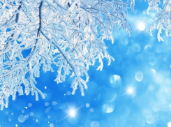 Синоптики рассказали, какая погода ждет камышан в выходные