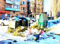 «Я тебя слепила из того, что было, а потом, что было, то и утвердила»: штрихи к «мстительной» позиции администрации Камышина по мусорной свалке по соседству